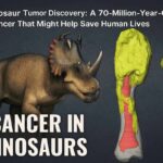 Composite image of dinosaur and CT scan of fossilized bone with cancer