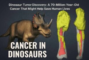 Composite image of dinosaur and CT scan of fossilized bone with cancer