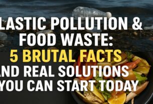 Illustration showing the global impact of plastic pollution and food waste with real-world solutions