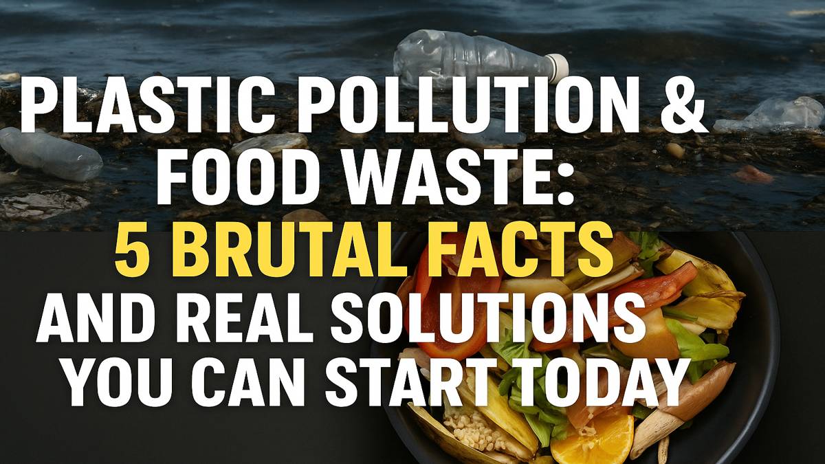 Illustration showing the global impact of plastic pollution and food waste with real-world solutions