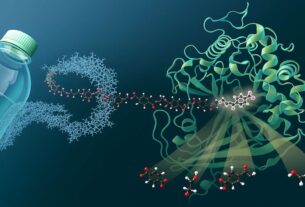 Plastic-Eating Bacteria breaking down plastic using powerful enzymes into harmless molecules